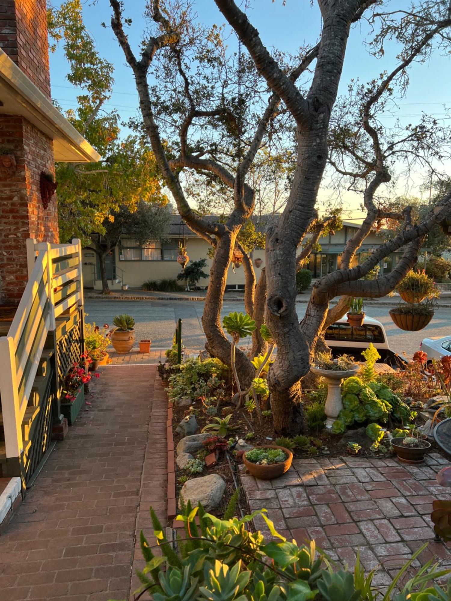 Carmel Garden Inn Exterior foto